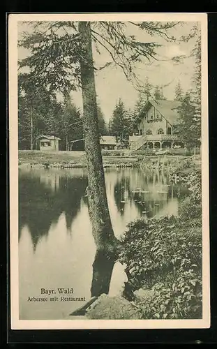 AK Arbersee /Bay., Arbersee mit Restaurant