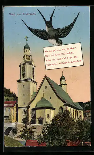 AK Todtmoos, Kirche und Briefschwalbe