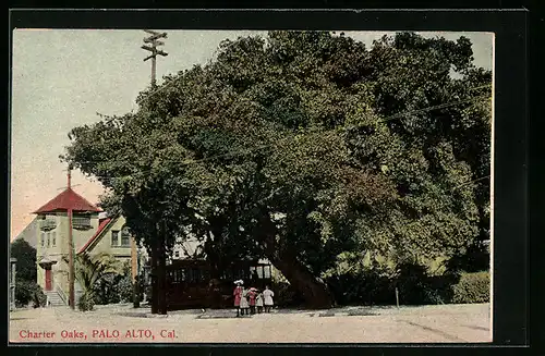 AK Palo Alto, CA, Charter Oaks