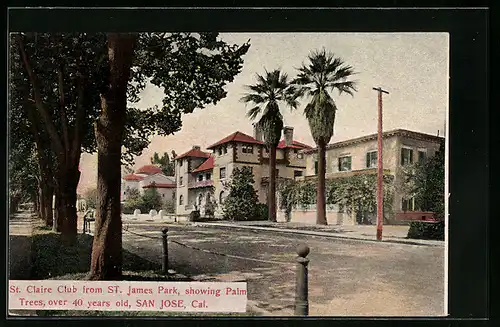 AK San Jose, CA, St. Claire Club from St. James Park, Palm Trees