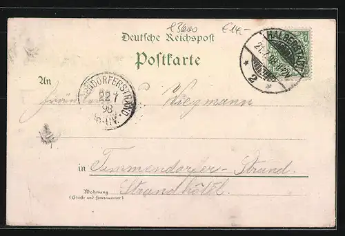 Lithographie Halberstadt, Dom, Totalansicht