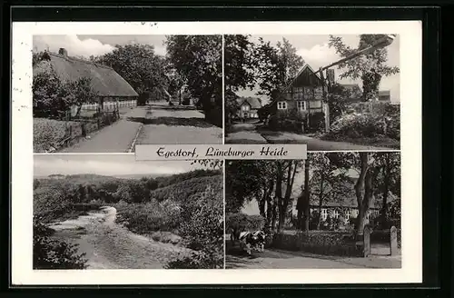 AK Egestorf /Lüneburger Heide, Strassenpartie mit Häusern, Fluss