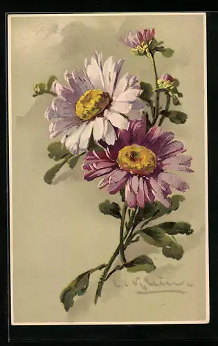 Künstler-AK Catharina Klein: Violette Gerbera