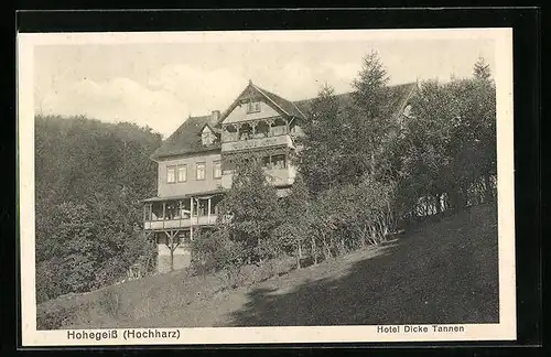 AK Hohegeiss /Hochharz, Hotel Dicke Tannen