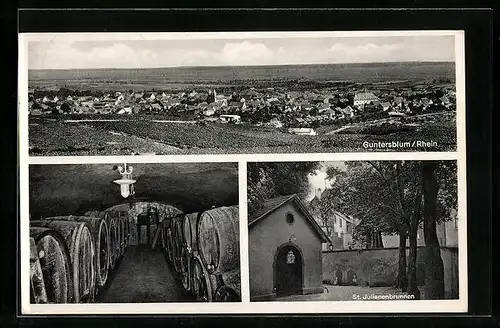 AK Guntersblum /Rhein, St. Julianenbrunnen, Weinkeller, Totalansicht