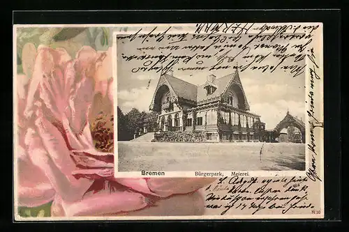 AK Bremen, Bürgerpark, Meierei, Rosenblüte