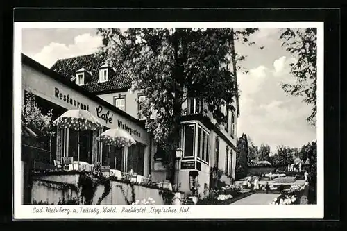 AK Bad Meinberg, Parkhotel Lippischer Hof