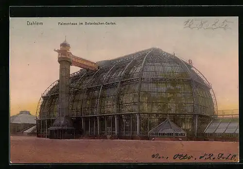 AK Berlin-Dahlem, Palmenhaus im Botanischen Garten