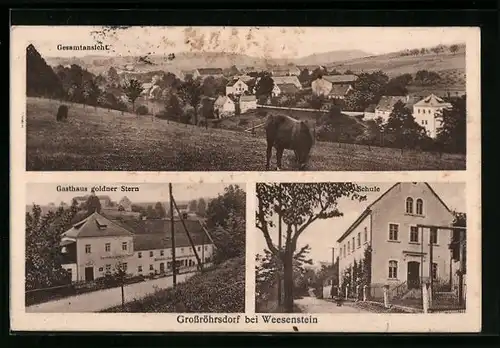 AK Grossröhrsdorf b. Weesenstein, Gesamtansicht, Gasthaus goldner Stern, Schule