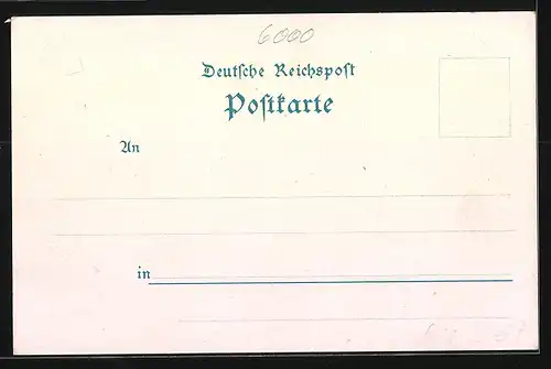 Lithographie Frankfurt a. M., Schellenberg`s Kaiser-Magazin, Zeil 39, Blick vom Schillerplatz, Ausstellhalle