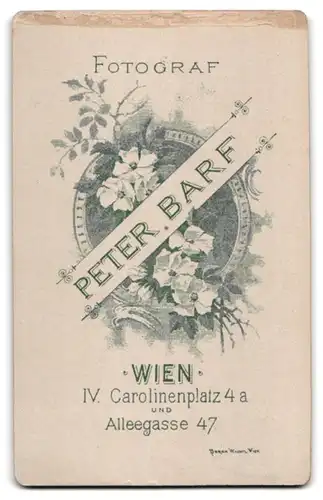 Fotografie Peter Barf, Wien, Carolinenplatz 4 a, Alleegasse 47, Bürgerliche Dame in hübscher Kleidung