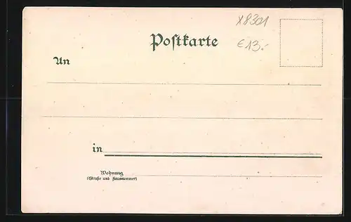 Lithographie Weesenstein /Müglitzthal, Gesamtansicht mit Umgebung aus der Vogelschau