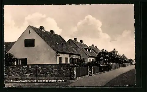 AK Greppin /Krs. Bitterfeld, Friedrich-Engels-Strasse mit alten Häusern