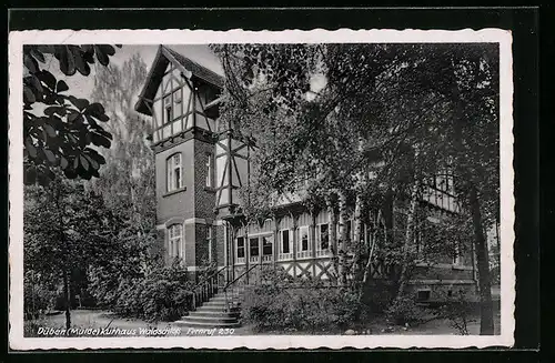 AK Düben /Mulde, Kurhaus Waldschloss