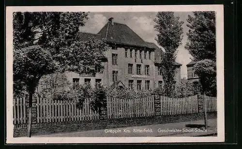 AK Greppin /Kr. Bitterfeld, Geschwister-Scholl-Schule, Strassenansicht