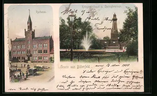 AK Bitterfeld, Rathaus, Kriegerdenkmal mit Springbrunnen