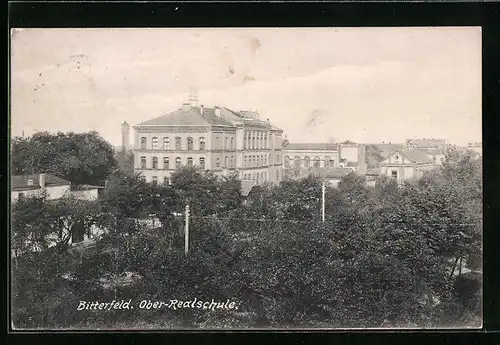 AK Bitterfeld, Ober-Realschule aus der Vogelschau