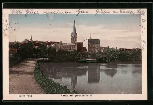 AK Bitterfeld, Partie am grossen Teich