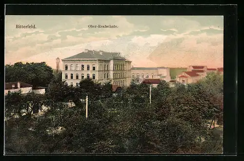 AK Bitterfeld, Ober-Realschule von oben gesehen