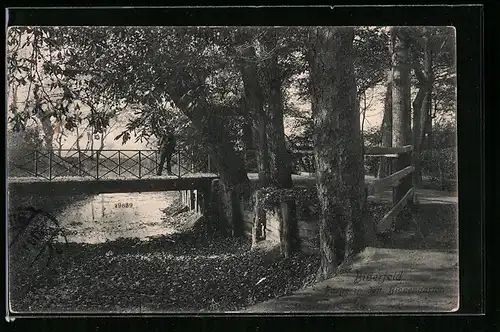 AK Bitterfeld, Brücke in den Binnengärten