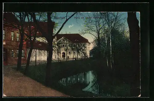 AK Bitterfeld, Partie am Lober mit Schule