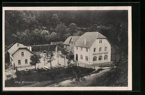AK Hermsdorf, Gasthaus und Sommerfrische Bockmühle von oben gesehen