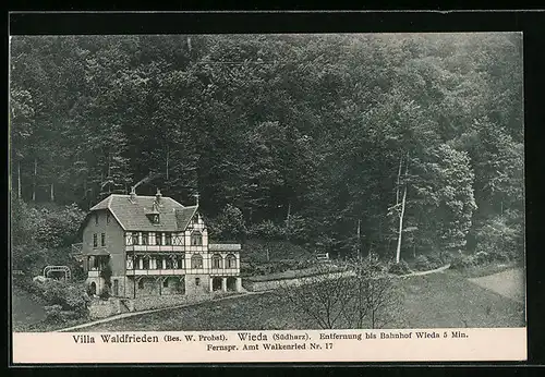 AK Wieda /Harz, Pension Villa Waldfrieden