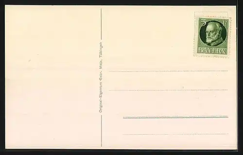 AK Lindau i. B., Bodenseedampfer Württemberg, Hafen