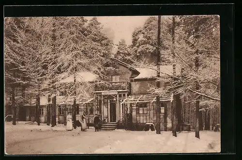 AK Langebrück i. Sa., Ansicht Gasthaus Forellen Schänke