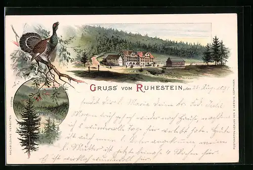 Lithographie Ruhestein, Gasthaus mit Wald und See