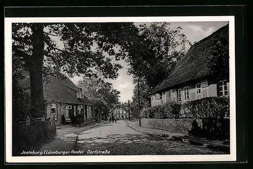 AK Jesteburg /Lüneb. Heide, Partie in der Dorfstrasse