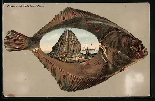 AK Catalina Island, CA, Sugar Loaf