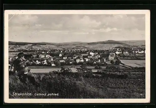 AK Strakonice, Celkovy pohled