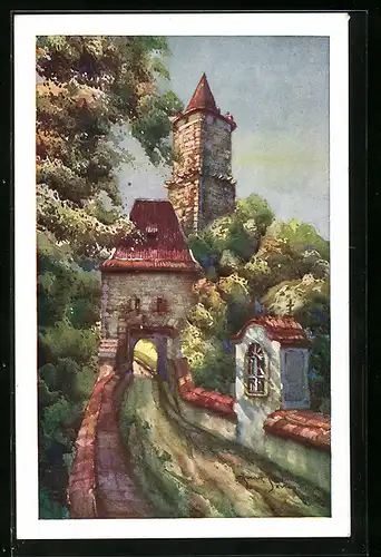 AK Hrad Zvikov, Weg zur Burg
