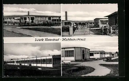 AK Hassloch /Pfalz, Porzellan-Werk Rosenthal