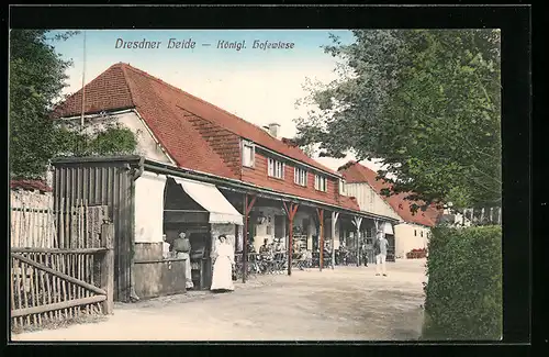 AK Langebrück i. S., Gasthaus Dresdner Heide, Hofewiese