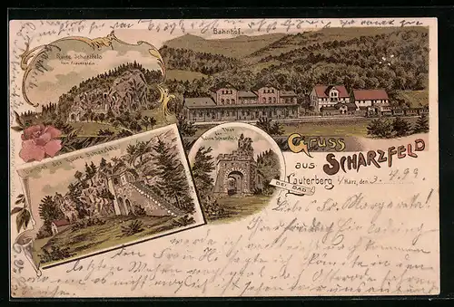 Lithographie Scharzfeld i. Harz, Ansichten der Ruine, Bahnhof aus der Vogelschau