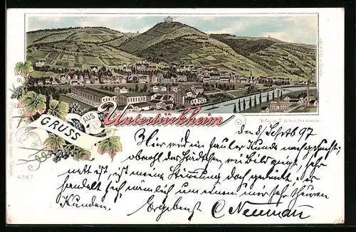 Lithographie Untertürkheim, Totalansicht aus der Vogelschau