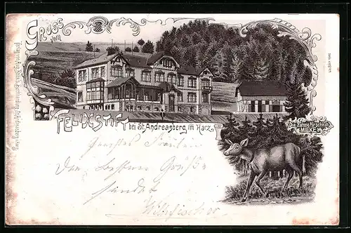 Lithographie St. Andreasberg /Harz, Blick auf das Felixstift, Zahme Hirschkuh Mieke