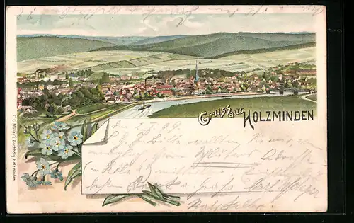 Lithographie Holzminden, Gesamtansicht aus der Vogelschau