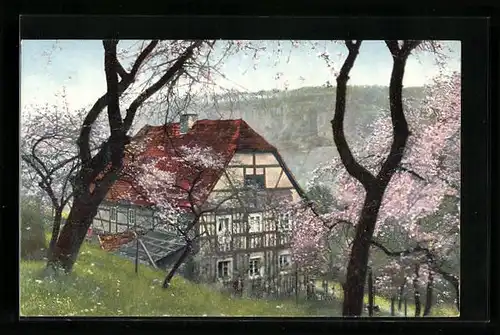 Künstler-AK Photochromie Nr. 1122: Haus mit Kirschbäumen