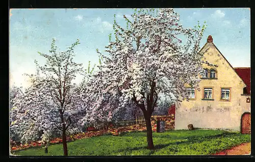 Künstler-AK Photochromie Nr.: Haus mit Bäumen im Frühling