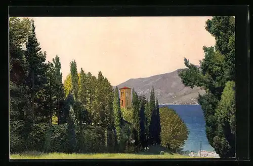 Künstler-AK Photochromie Nr. 3332: S. Giovanni, Bäume am See