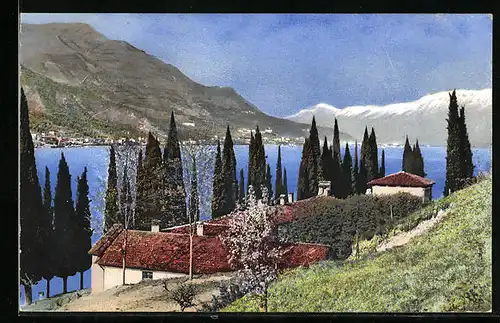 Künstler-AK Photochromie Nr. 1828: Häuser und Bäume am See