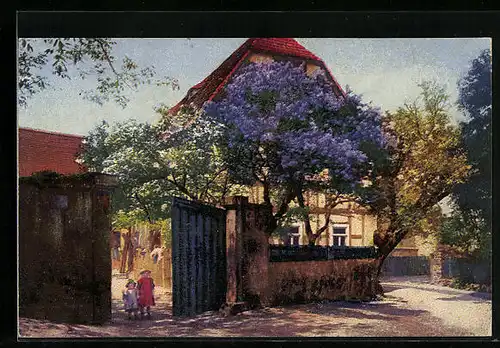 Künstler-AK Photochromie Nr. 3990: Haus mit 2 Schwestern und Bäumen