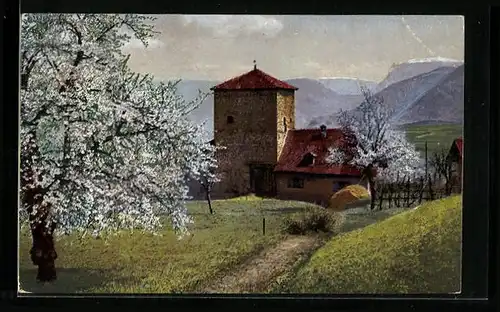 Künstler-AK Photochromie Nr. 2697: Obstblüte in Süd-Tirol