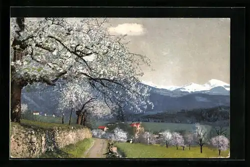 Künstler-AK Photochromie Nr. 2714: Obstblüte in Tirol