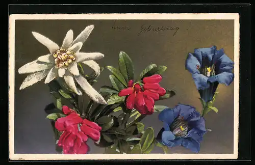 Künstler-AK Photochromie Nr. 4334: Edelweiss, Alpenrose, Enzian