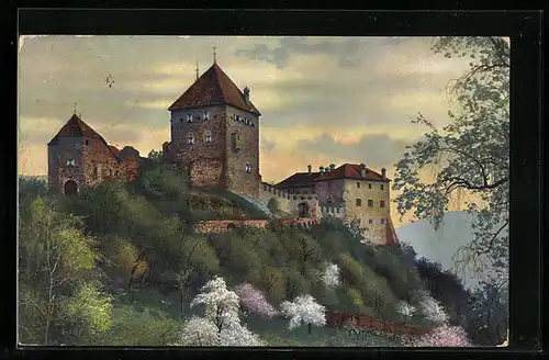 Künstler-AK Photochromie Nr. 2723: Obstblüte im Tirol, Burg auf einem Berg
