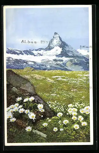 Künstler-AK Photochromie Nr. 1473: Zermatt, Alpen-Wucherblumen vor Matterhorn